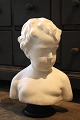 Dekorativ buste af dreng i gips med fin patina. H:38cm...