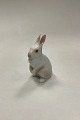 Bing and 
Grondahl 
Figurine Rabbit 
Standing No. 
2443. Measures 
12.5 cm / 4.93  
in.
