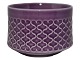 Palet
Purple sugar 
bowl