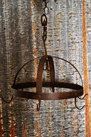item no: 
Vildt krog