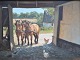 Edsberg, Knud 
(1911 - 2003) 
Denmark: 
Horses. Oil on 
canvas. Signed 
Edsberg. 31 x 
41 cm.
Framed ...