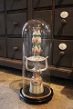 Decorative, old 
cylinder-shaped 
French glass 
Dome / Globe on 
a black wooden 
base for 
exhibition. ...