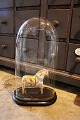 Decorative, old 
oval French 
glass Dome / 
Globe on a 
black wooden 
base for 
exhibition. 
Total H: ...