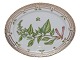 Flora Danica
Small platter 24.7 cm.