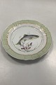 Royal 
Copenhagen 
Green Dinner 
Fish Plate No 
919/1710 with 
Salmo Trutta 
Måler 25 cm (9 
27/32")