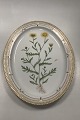 Royal 
Copenhagen 
Flora Danica 
Large Serving 
platter No 374 
or 3520.
Measures 
46,5cm x 35cm / 
...