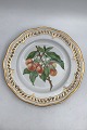 Royal 
Copenhagen 
Flora Danica 
Fruit Plate No. 
429/3584. 
Measures 22.2 
cm / 8.74 inch. 
1st ...