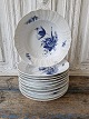 Royal 
Copenhagen Blue 
Flower large 
soup plate 
No. 1614, 
Factory second
Diameter 24.5 
...