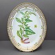 Royal 
Copenhagen, 
Flora Danica 
porcelain; Oval 
small dish.  
Decorated in 
colours and 
gold with ...