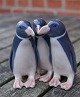 Royal 
Copenhagen 
Denmark, 
figurine No 
1284, 3 
Penguins