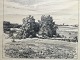 Radering af 
Albert Holm 
1933 - landskab 
med mølle,