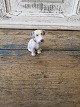 click to zoom