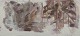 click to zoom