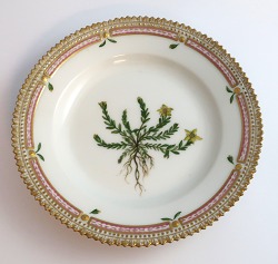 item no: 
612362