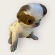 Royal 
Copenhagen
Pekingese 
puppy
# 1453/448
DKK 650