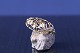 Beautiful gold 
brooch in 14 
carat gold, 
with a 
beautifully 
detailed leaf 
pattern. The 
brooch is, ...