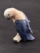B&G parrot no. 2019