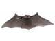 Royal Copenhagen trayBat