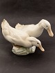Royal 
Copenhagen 
ducks  #412 
nice condition 
but staff 
sorting item 
no. 616659