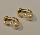10 carat ear 
clips in red 
gold with 
pearls. 20th 
century. 
Stamped: 375. 
L: 1.5 cm.