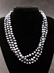 Necklace with 
colored beads 
item no. 619346
