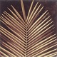 Art Glass 
Palm leaf.
Framed behind 
glass.