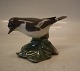 2144 RC 
Flycatcher 8 x 
13 cm Platten 
Hallermundt 
1920 ...