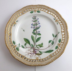 Bestellnummer: 626044