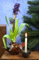 item no: Tage Andersen design