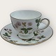WedgwoodWild StrawberryTeacup*DKK 150