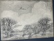 Click a photo to view the large photo