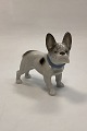 click to zoom