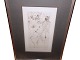 Hans Bellmer (1902-1975), original etching in frame behind glass.Erotic anatomy study from ...