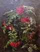 Artist: Signe 
Andreasen
Year: 1885
Size: 50x38 cm