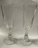 Derby champagneglas / champagnefløjter