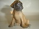 Royal Copenhagen Figurine, Pug puppy
