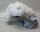 Royal 
Copenhagen 1108 
RC Polar bear 
and seal Knud 
Kyhn KK ca 23 x 
37 cm Design 
1909 New # 086 
In ...