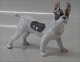 Royal 
Copenhagen 1457 
RC Boston 
Terrier 11 x 13 
cm, Knud Møller 
1913 Color: 
1452 2nd In 
mint and ...