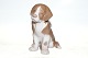Bing & Grøndahl 
Dog Figure, St. 
Bernard puppy 
Dek. No 1926 
(RC No. 439) 
´2 st sorting. 
...