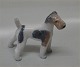 Kongelig Dansk 3170 Ruhåret foxterrier Th. Madsen  8 cm 
