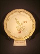 Flora Danica
plate-dish
 "Asplenium 
Ruta muraria"
Royal 
Copenhagen 
Rc no 20-3554
price ...