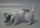 Royal 
Copenhagen dog 
2786 Terrier 
head down Knud 
Kyhn  1927 11 x 
17 cm Color 
2686 In mint 
and ...