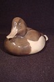 Figurin Duck 
Kgl  RC no 
1924 
Royal 
Copenhagen