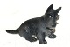Royal 
Copenhagen 
Figure, 
Scottish 
Terrier 
Dek. No 3162
Factory first 
Length 12 cm. 
...
