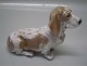 Royal 
Copenhagen dog 
4616 Basset 
Hound JG 12 cm 
Design jeanne 
Grut  In mint 
and nice 
condition 0356