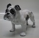 Rosenthal 
English Bulldog 
10,5 x 17 cm 
Nice and mint 
condition Ca 
1920