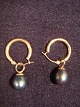 item no:
96853 item no:
96853