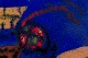 click to zoom