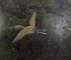 click to zoom