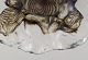 click to zoom